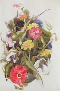 Zinnias, 1920